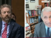 'You're Not The End All': Rand Paul Slams Fauci In Heated Exchange Over Lockdowns