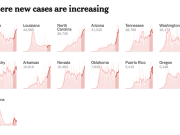 India Accused Of Underreporting COVID-19 Deaths As WHO Warns Global Outbreak Is Getting Worse